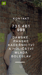 Mobile Screenshot of kadernictvi-mladaboleslav.cz